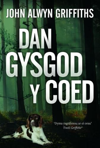 Cover image for Dan Gysgod y Coed