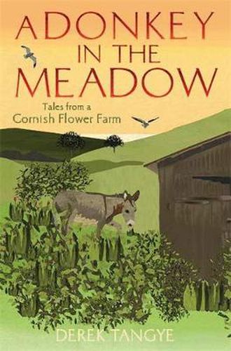 Cover image for A Donkey in the Meadow: Tales from a Cornish Flower Farm