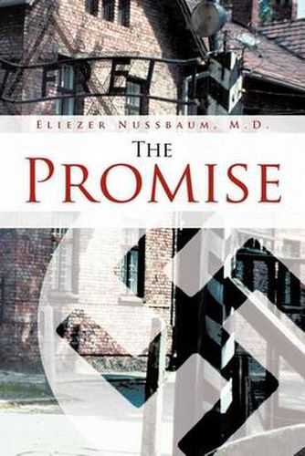 Cover image for The Promise