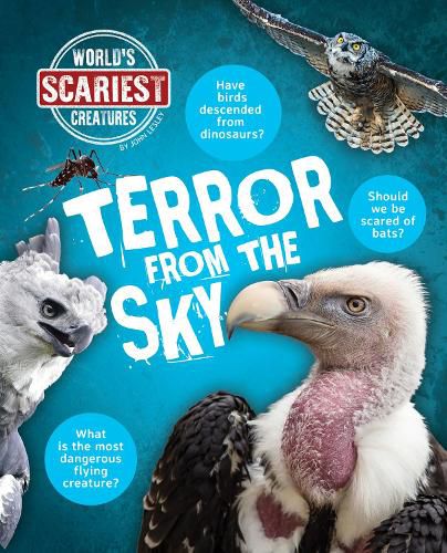 Cover image for Terror From the Sky