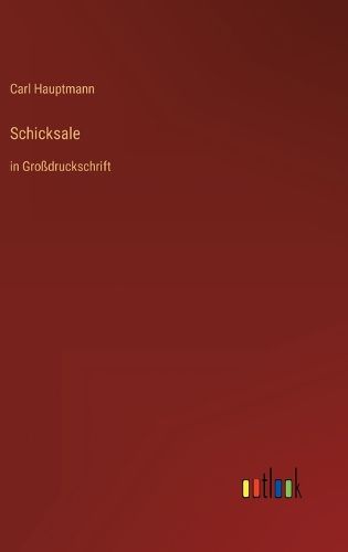 Cover image for Schicksale