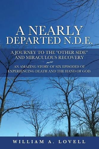 Cover image for A Nearly Departed N.D.E.: A Journey to the Other Side and Miraculous Recovery