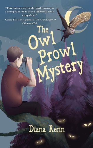 Cover image for The Owl Prowl Mystery