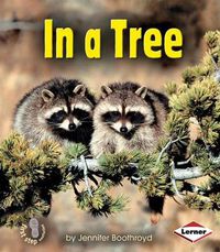 Cover image for In A Tree