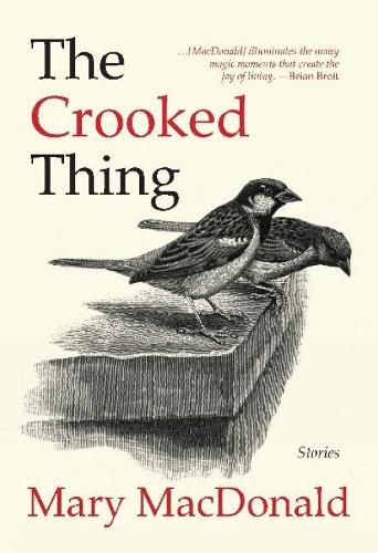Cover image for The Crooked Thing