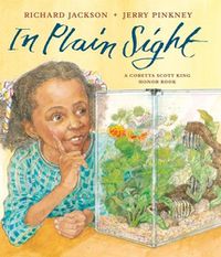 Cover image for In Plain Sight