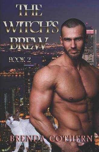 Cover image for The Witch's Brew 2