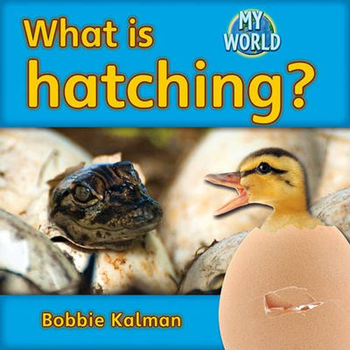 Cover image for What is hatching?