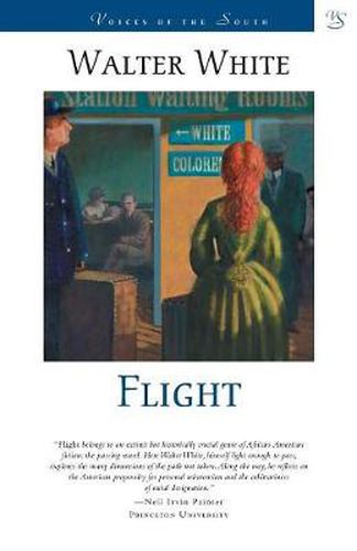 Cover image for Flight: A Novel