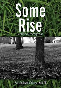 Cover image for Some Rise