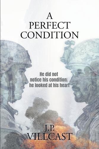 Cover image for A Perfect Condition