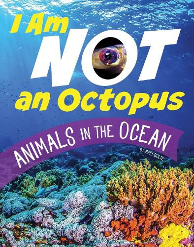 I Am Not an Octopus: Animals in the Ocean