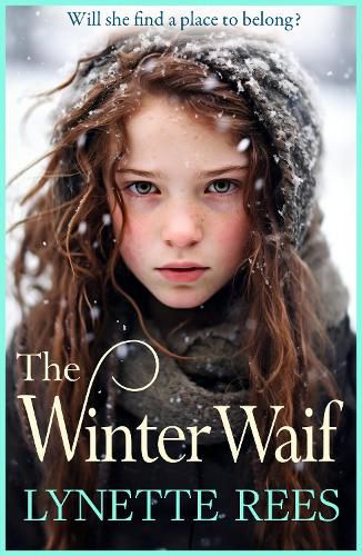 Cover image for The Winter Waif