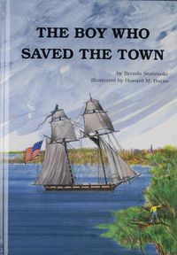 Cover image for Boy Who Saved the Town