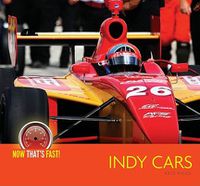 Cover image for Indy Cars