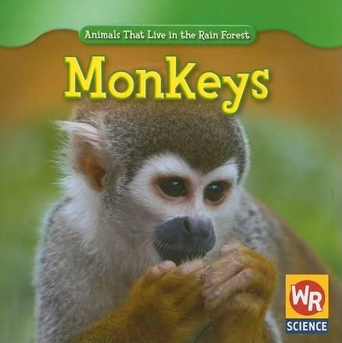 Cover image for Monkeys