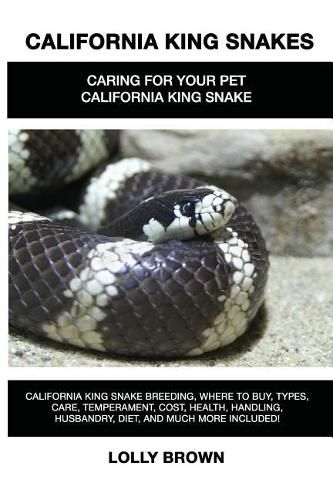 California King Snakes: California King Snake breeding, where to buy, types, care, temperament, cost, health, handling, husbandry, diet, and much more included! Caring For Your Pet California King