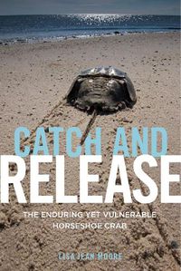 Cover image for Catch and Release: The Enduring Yet Vulnerable Horseshoe Crab