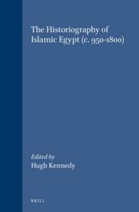 Cover image for The Historiography of Islamic Egypt (c. 950-1800)