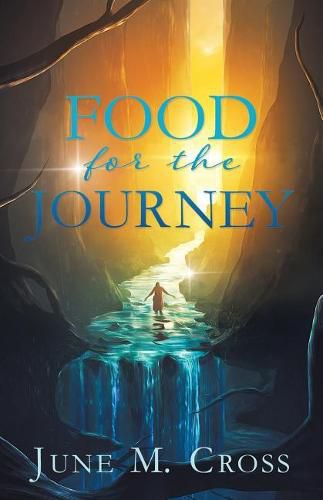 Cover image for Food For The Journey