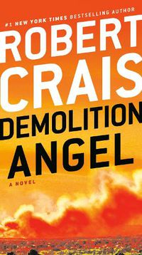 Cover image for Demolition Angel: A Novel