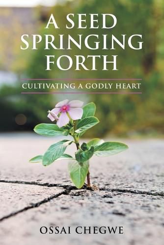 Cover image for A Seed Springing Forth