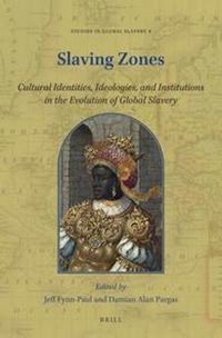 Cover image for Slaving Zones: Cultural Identities, Ideologies, and Institutions in the Evolution of Global Slavery