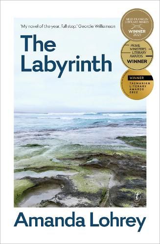 Cover image for The Labyrinth