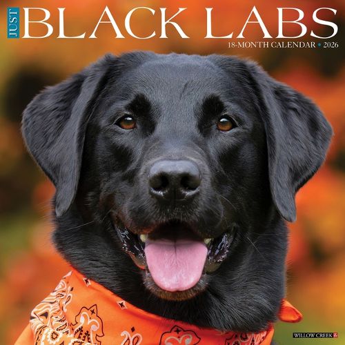 Cover image for Black Labs 2026 Wall Calendar
