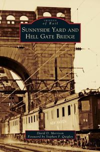 Cover image for Sunnyside Yard and Hell Gate Bridge