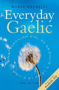 Cover image for Everyday Gaelic