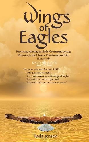 Cover image for Wings of Eagles: Practicing Abiding in God'S Consistent Loving Presence in the Chaotic Floodwaters of Life (Devotional)