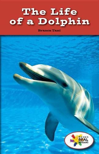 Cover image for The Life of a Dolphin