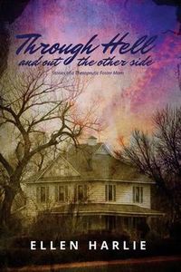 Cover image for Through Hell and out the other side: Stories of a Therapeutic Foster Mom