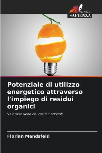 Cover image for Potenziale di utilizzo energetico attraverso l'impiego di residui organici