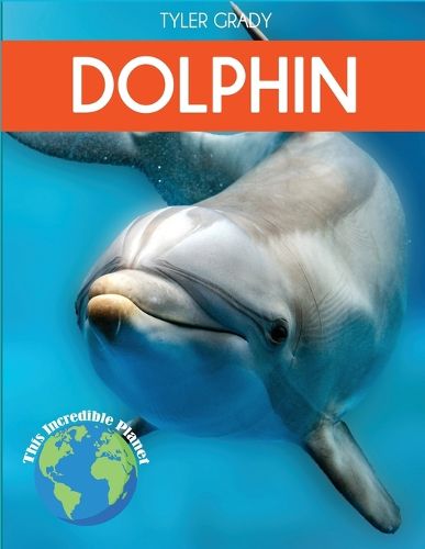 Cover image for Dolphin