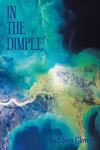 Cover image for In the Dimple