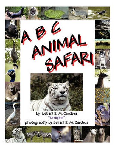 Cover image for A B C Animal Safari