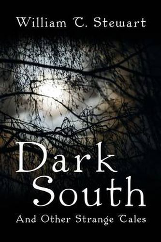 Cover image for Dark South