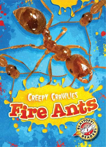 Fire Ants