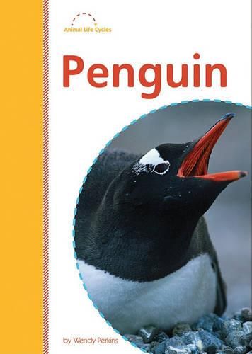 Cover image for Penguin