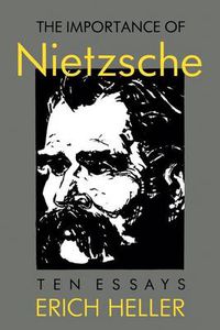 Cover image for The Importance of Nietzsche: Ten Essays