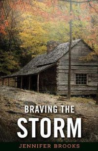 Cover image for Braving the Storm