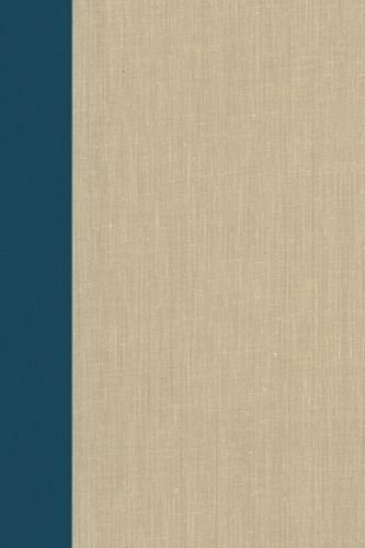 Cover image for Terrorism Documents of International and Local Control: Volume 94