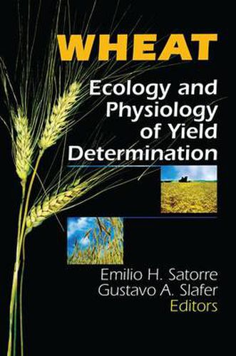 Cover image for Wheat: Ecology and Physiology of Yield Determination