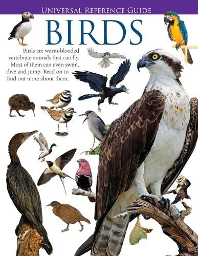 Cover image for Universal Reference Guide - BIRDS