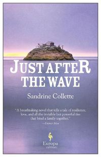 Cover image for Just After the Wave