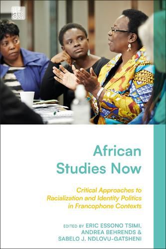 Cover image for African Studies Now