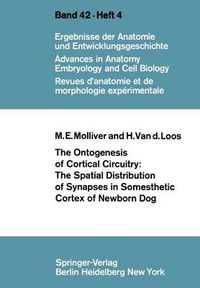 Cover image for The Ontogenesis of Cortical Circuitry: The Spatial Distribution of Synapses in Somesthetic Cortex of Newborn Dog