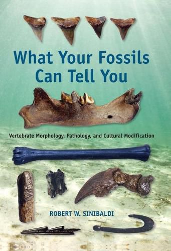 Cover image for What Your Fossils Can Tell You: Vertebrate Morphology, Pathology, and Cultural Modification